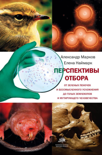 . Перспективы отбора