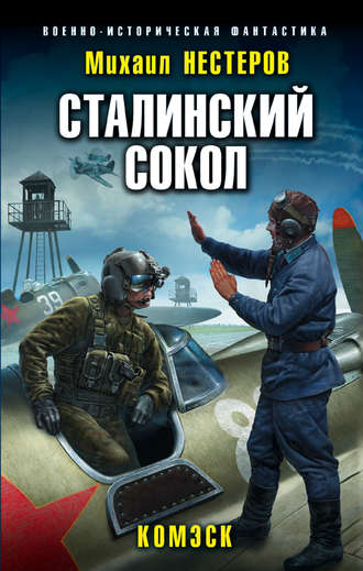 Михаил Нестеров. Сталинский сокол. Комэск