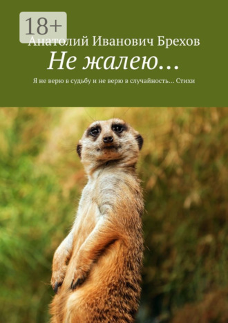 Анатолий Иванович Брехов. Не жалею… Я не верю в судьбу и не верю в случайность… Стихи