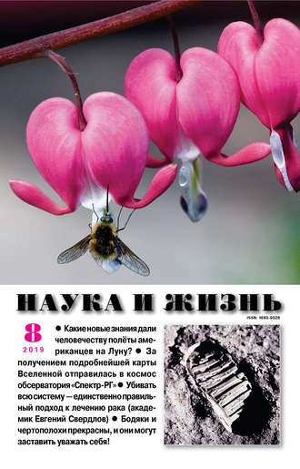 . Наука и жизнь №08/2019