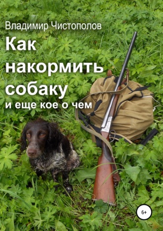 Владимир Чистополов. Как накормить собаку и еще кое о чем