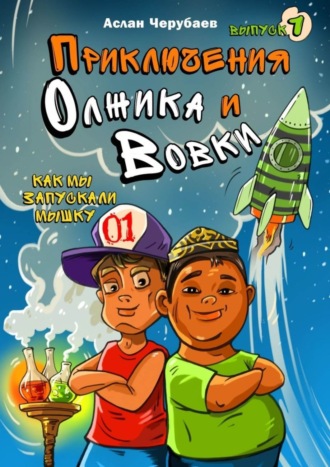 . Приключения Олжика и Вовки. Как мы запускали мышку