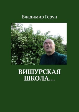 . Вишурская школа…