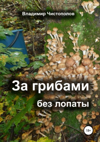 Владимир Чистополов. За грибами без лопаты