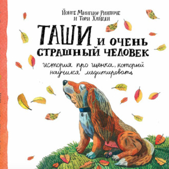 . Таши и Очень Страшный Человек. История про щенка, который научился медитировать