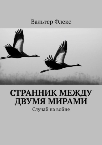 Вальтер Флекс. Странник между двумя мирами. Случай на войне
