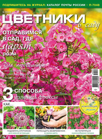 . Цветники в саду №09/2019