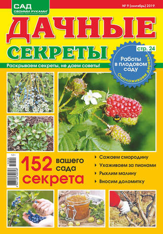. Сад своими руками. Дачные секреты №09/2019