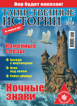 . Таинственные истории №13/2019