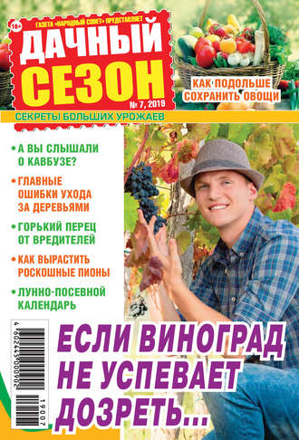 . Дачный сезон №07/2019