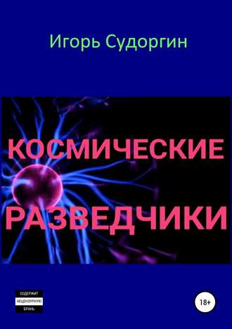Игорь Вячеславович Судоргин. Космические разведчики
