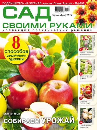 . Сад своими руками №09/2019