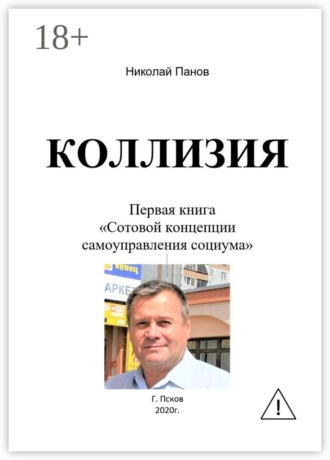 . Коллизия. Первая книга «Сотовой концепции самоуправления социума»