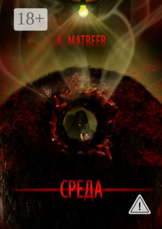 Артур Матвеев. Среда