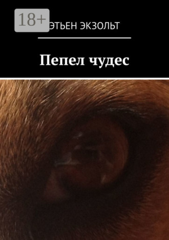 Этьен Экзольт. Пепел чудес
