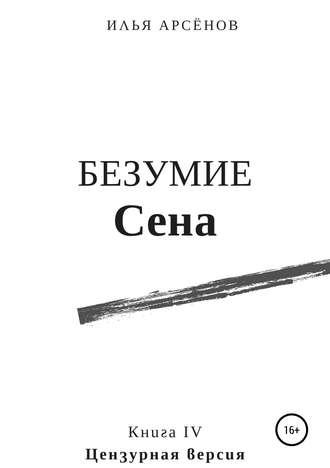 . Сен. Книга четвертая. Безумие Сена