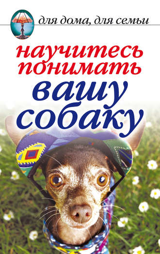 . Научитесь понимать вашу собаку