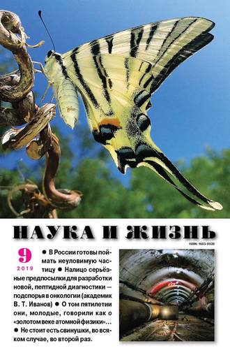 . Наука и жизнь №09/2019