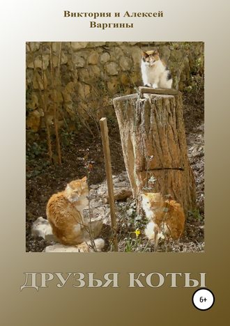 . Друзья коты