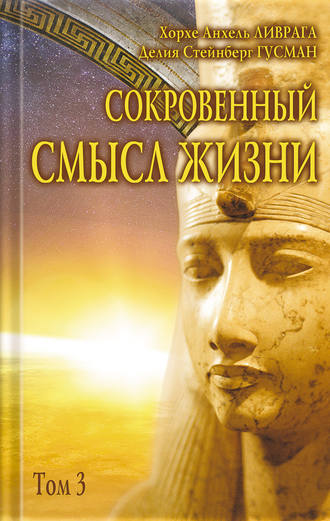 . Сокровенный смысл жизни. Том 3