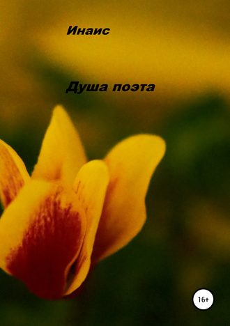 . Душа поэта