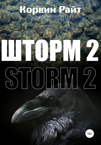 . Шторм-2