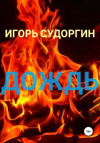 Игорь Вячеславович Судоргин. Дождь