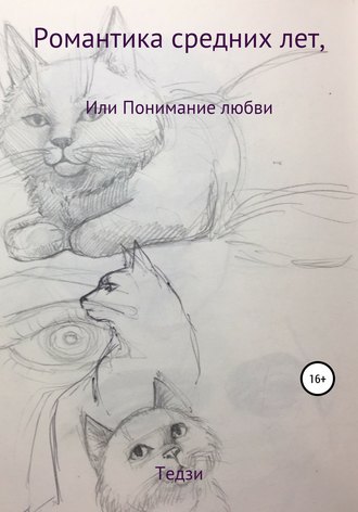 . Романтика средних лет, или Понимание любви