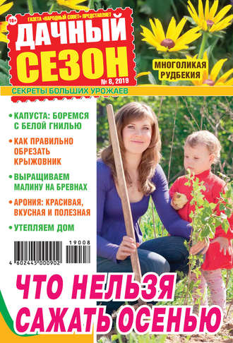 . Дачный сезон №08/2019