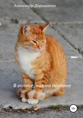 . В голове, как на полянке