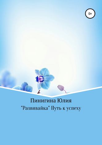 . «Развивайка» Путь к успеху