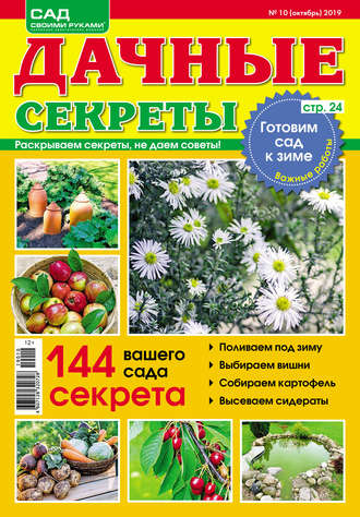 . Сад своими руками. Дачные секреты №10/2019