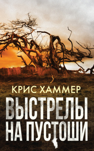 . Выстрелы на пустоши