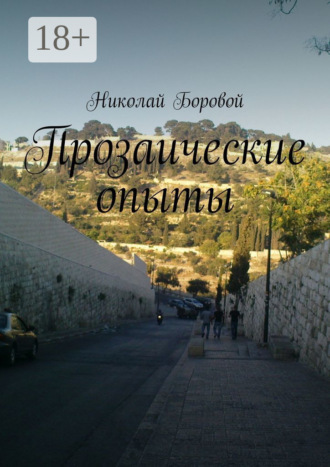 Николай Андреевич Боровой. Прозаические опыты