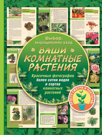 Галина Попова. Ваши комнатные растения