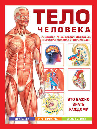 . Тело человека. Анатомия. Физиология. Здоровье