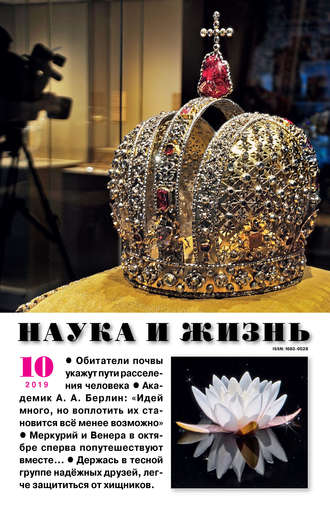 . Наука и жизнь №10/2019