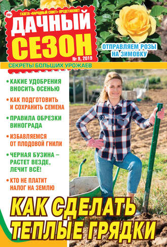 . Дачный сезон №09/2019