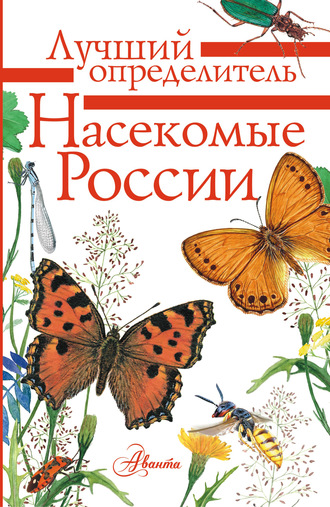 Илья Гомыранов. Насекомые России