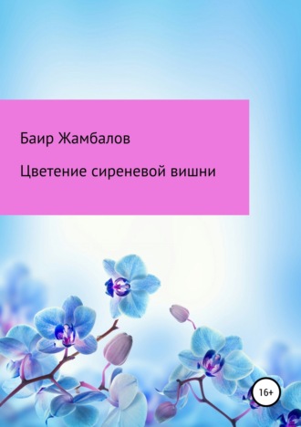 . Цветение сиреневой вишни