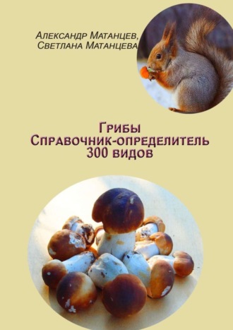 Александр Матанцев. Грибы. Справочник-определитель 300 видов