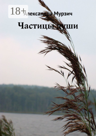 . Частицы души