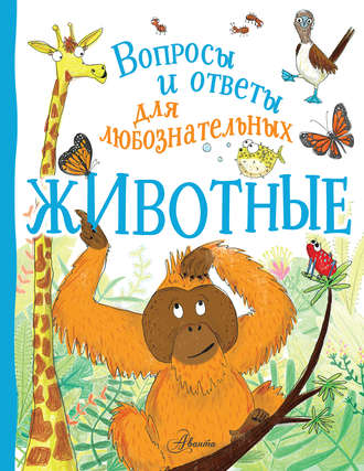 Камилла де ла Бедуайер. Животные