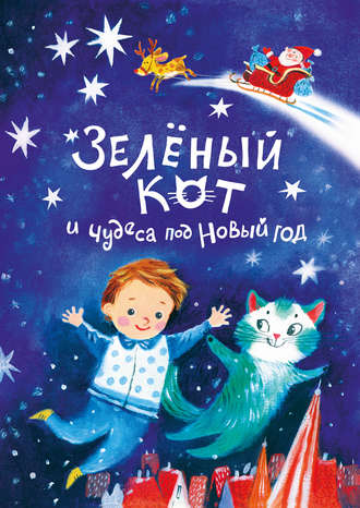 . Зелёный кот и чудеса под Новый год