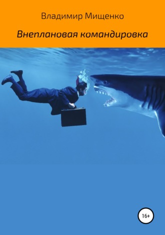 Владимир Мищенко. Внеплановая командировка