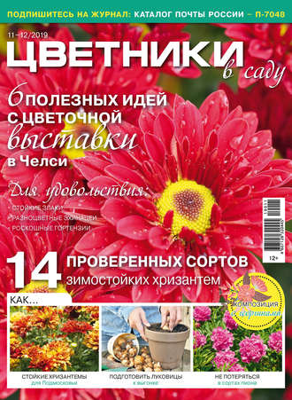 . Цветники в саду №11–12/2019