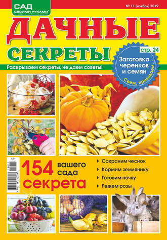 . Сад своими руками. Дачные секреты №11/2019