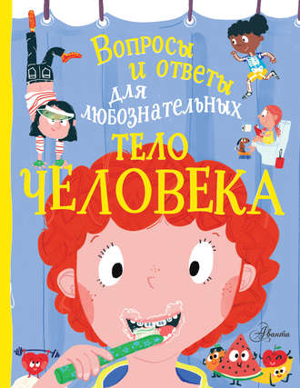 . Тело человека