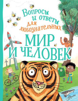 . Мир и человек