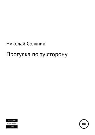 Николай Соляник. Прогулка по ту сторону